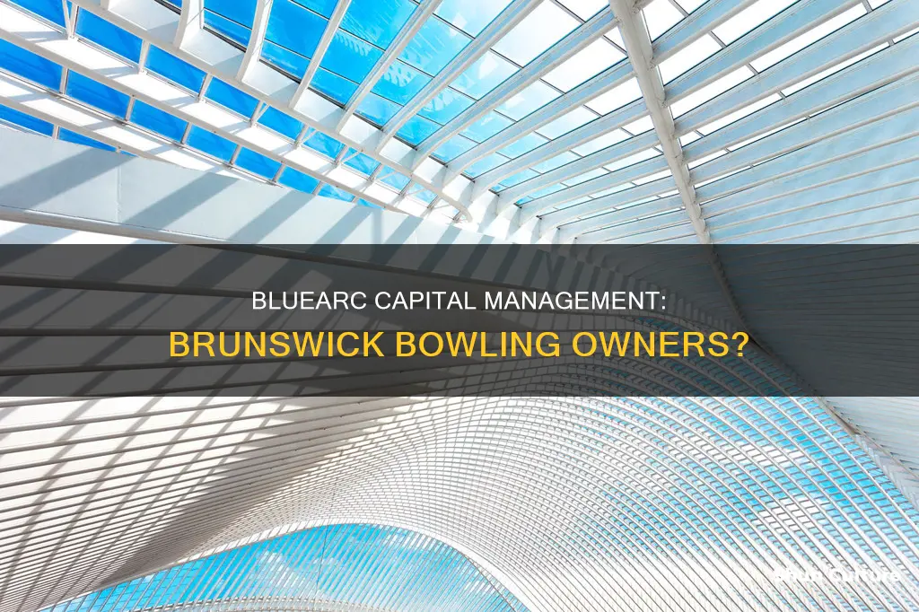 does bluearc capital management own brunswick bowling