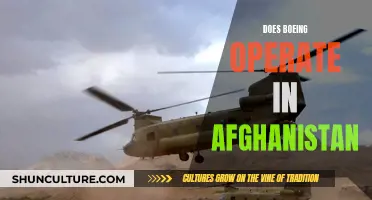 Boeing's Presence in Afghanistan: A Complex Legacy