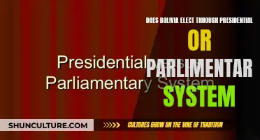 Bolivia's Electoral System: Presidential or Parliamentary?