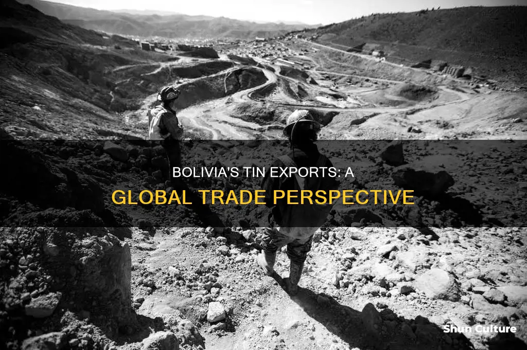 does bolivia export tin