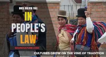 Bolivia's Legal System: People's Law or Not?