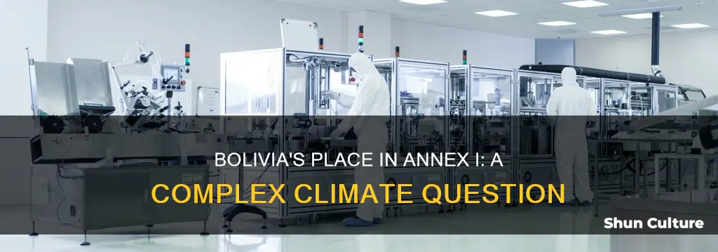 does bolivia fit into the annex I group