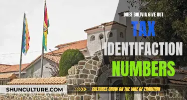 Bolivia's Tax Identification: Numbers for All?