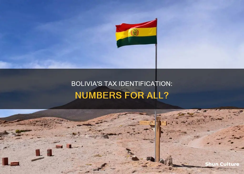 does bolivia give out tax identifaction numbers