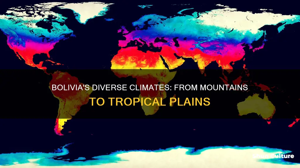 does bolivia has al climates