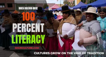 Literacy in Bolivia: Is It Really at 100%?