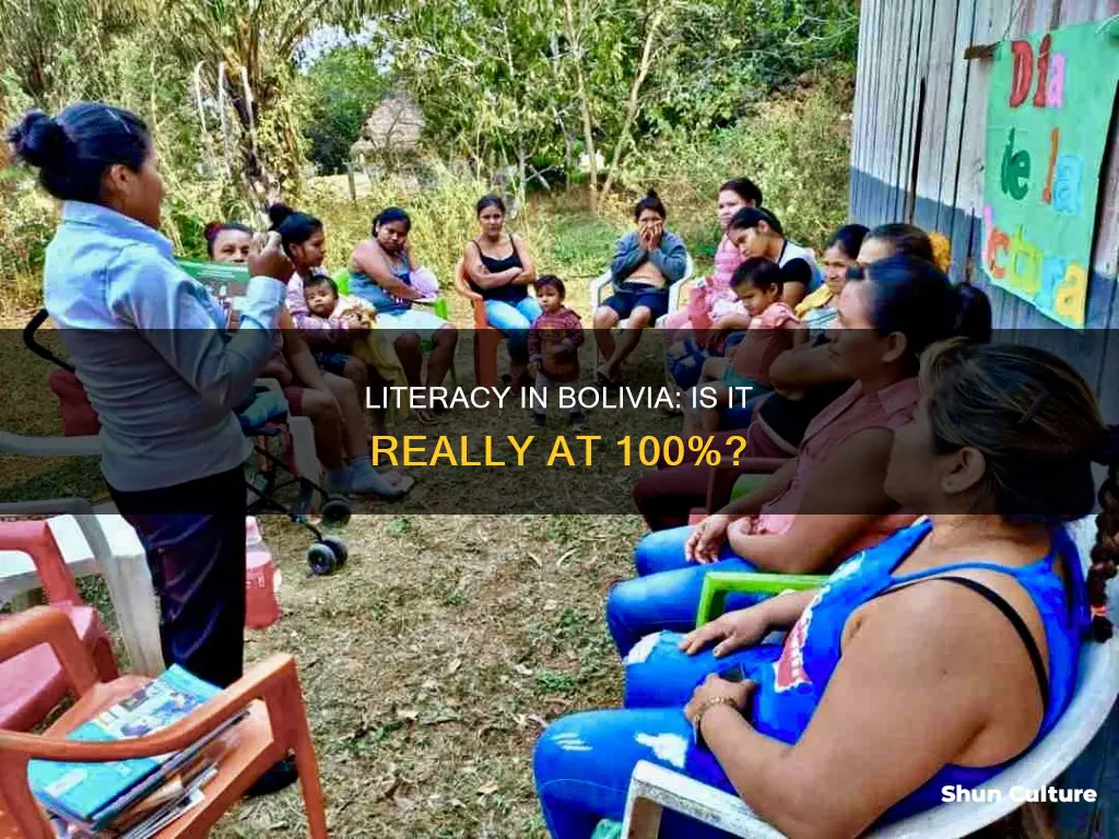 does bolivia have 100 percent literacy