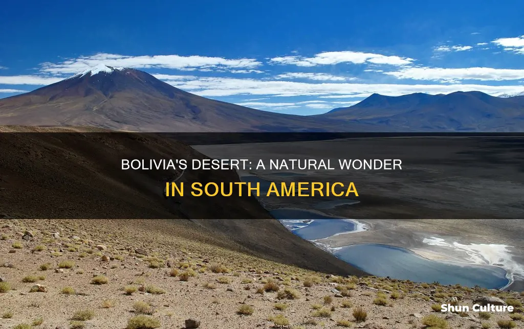 does bolivia have a desert