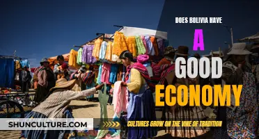 Bolivia's Economy: A Comprehensive Overview