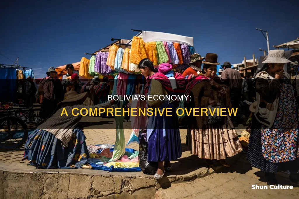 does bolivia have a good economy