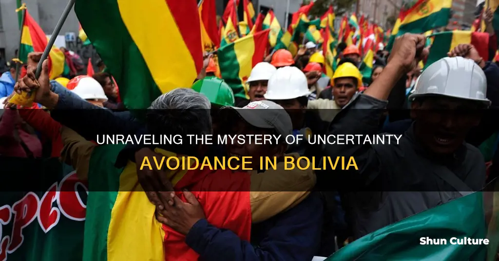 does bolivia have a high uncertainty avoidance