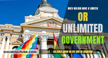 Bolivia's Government: Limited or Unlimited?