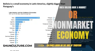 Bolivia's Economy: Market or Non-Market?