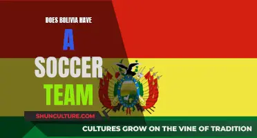 Bolivia's Football Team: Existence and Performance Explored