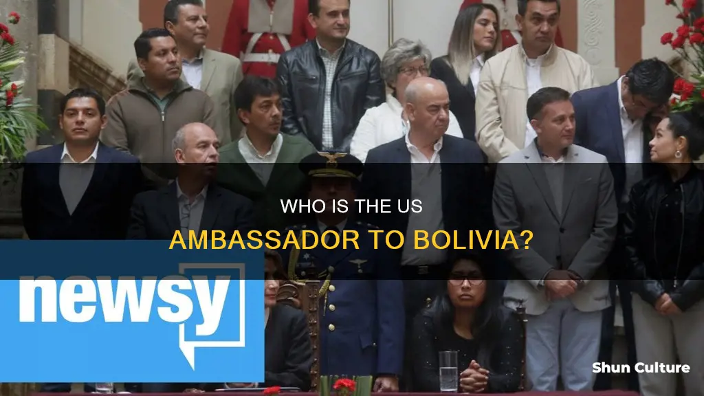 does bolivia have a us ambassador