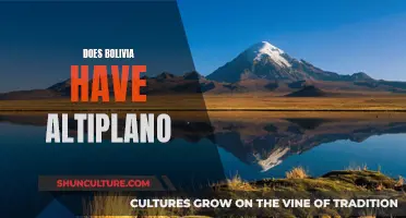 Bolivia's Altiplano: A High-Altitude Adventure