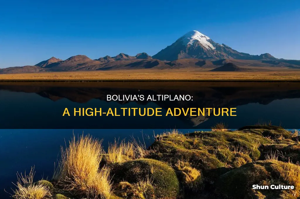 does bolivia have altiplano