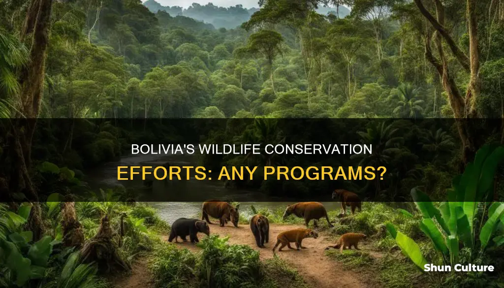 does bolivia have an animal conservation program