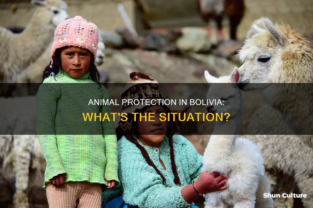 does bolivia have an animal protection pragram