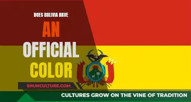 Bolivia's Official Color: Exploring National Identity and Pride