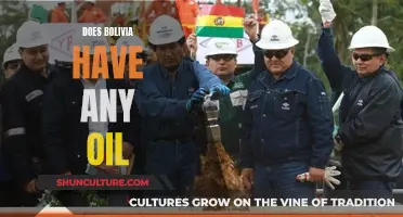 Bolivia's Oil Industry: What's the Current Status?