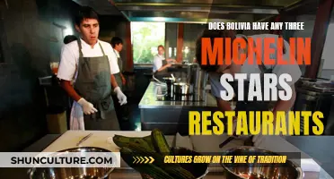 Michelin Stars in Bolivia: Any Three-Star Restaurants?