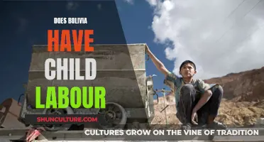 Child Labor in Bolivia: A Complex Reality