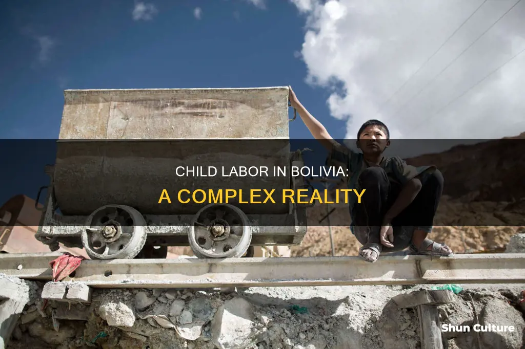 does bolivia have child labour