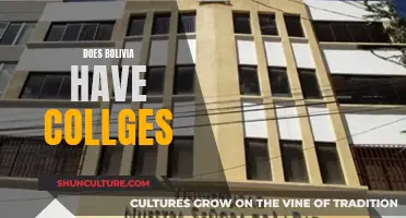 Exploring Bolivia's Education: Are There Colleges?