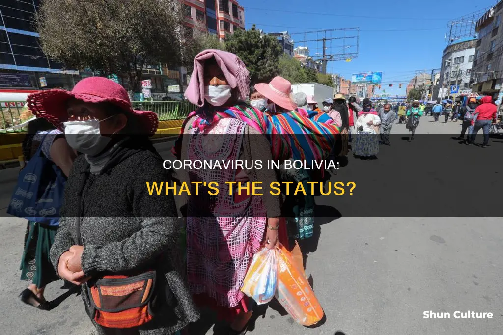 does bolivia have coronavirus