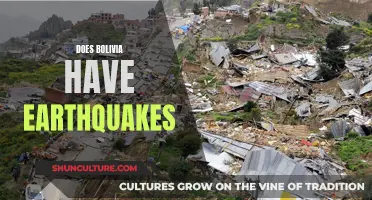 Bolivia's Earthquake History and Risk Explored