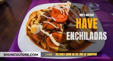 Bolivia's Enchilada Offerings: Traditional or Transformed?