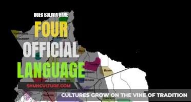 Bolivia's Official Languages: A Cultural Mosaic of Four Tongues