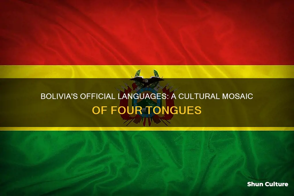 does bolivia have four official language