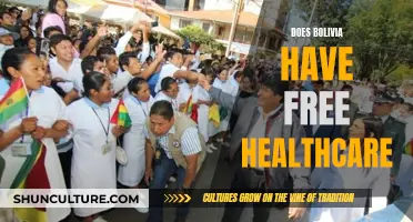 Bolivia's Healthcare System: Free and Accessible for All?