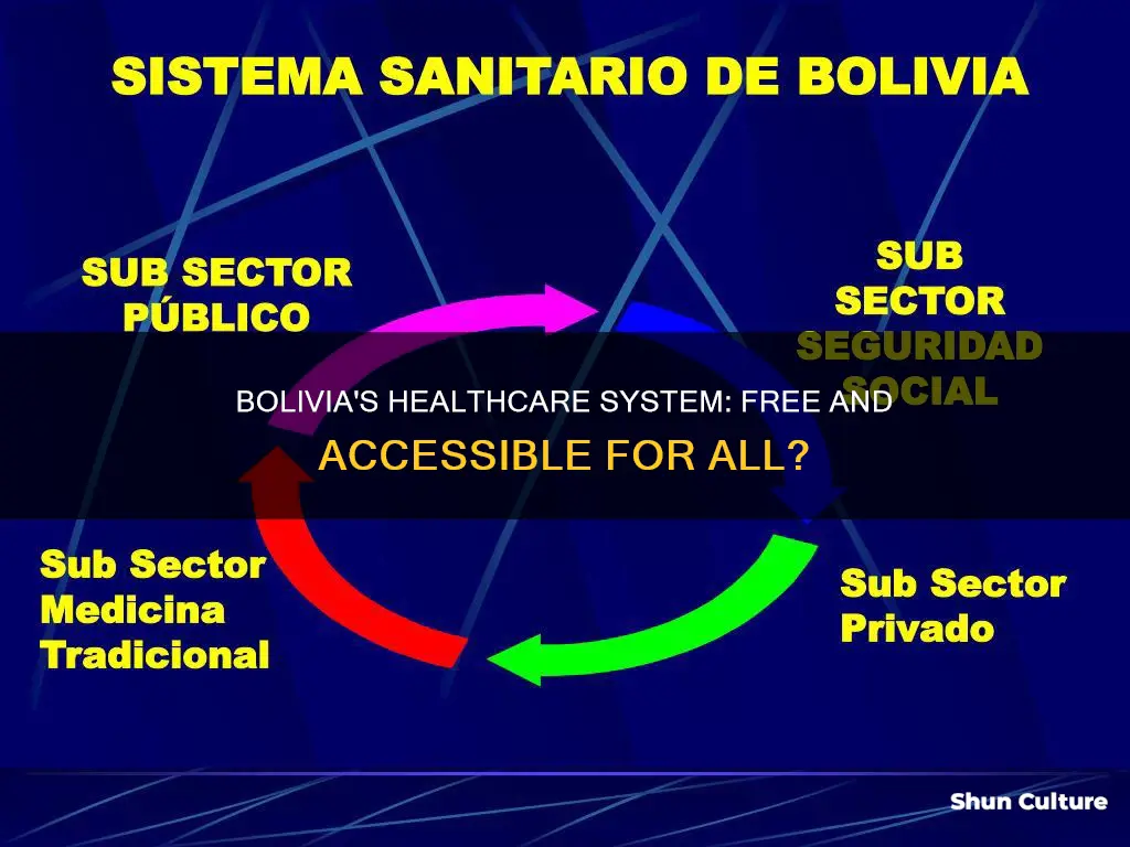 does bolivia have free healthcare