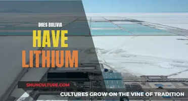 Bolivia's Untapped Wealth: Rich Lithium Veins