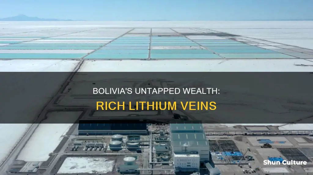 does bolivia have lithium