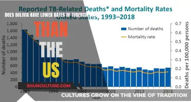 Tuberculosis Rates: Bolivia vs. US Comparison