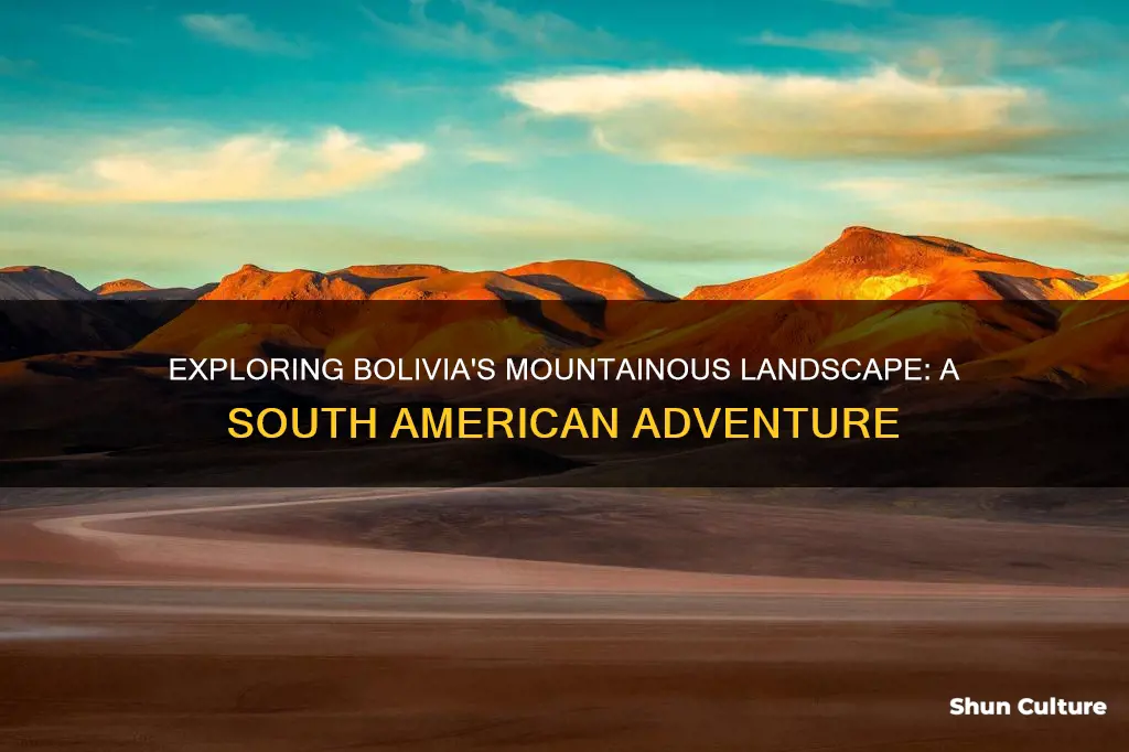 does bolivia have mountains