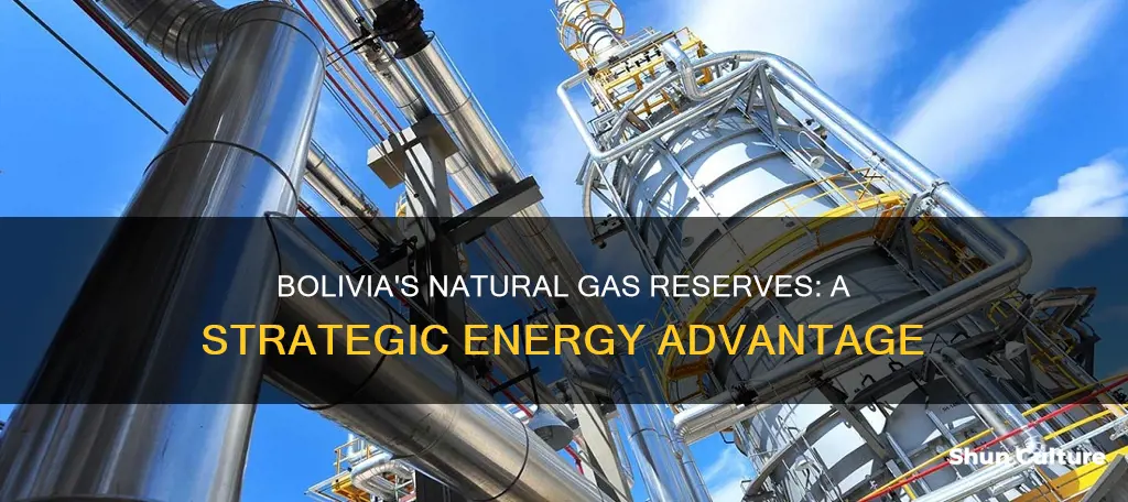 does bolivia have natural gas reserves