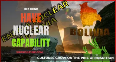 Bolivia's Nuclear Ambitions: A Capability Analysis