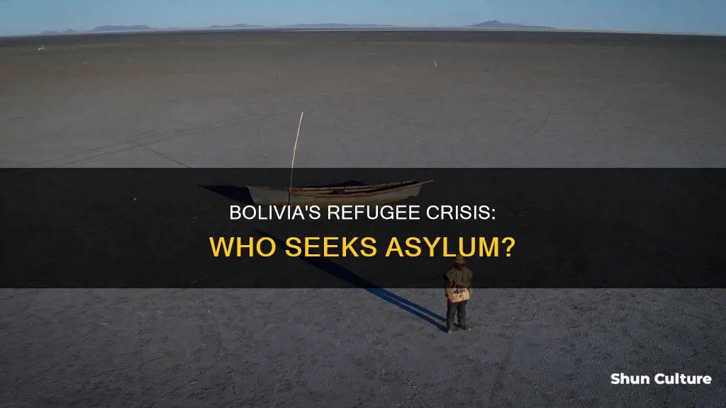 does bolivia have refugees