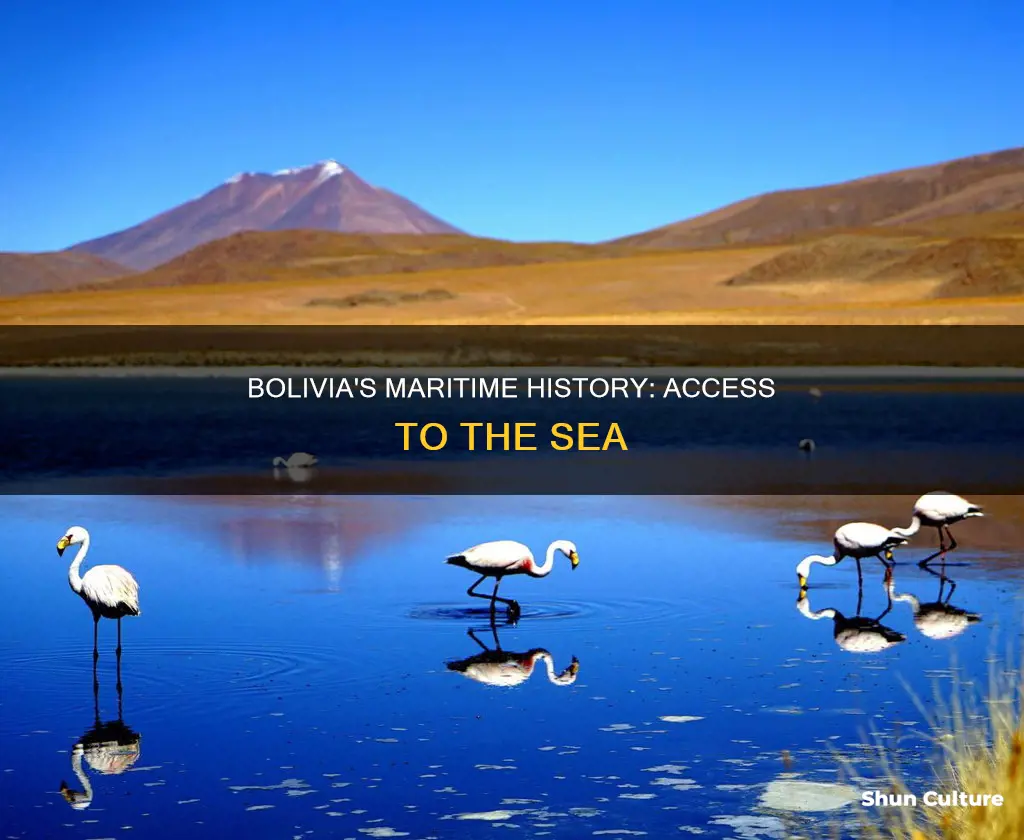 Bolivia's Maritime History: Access To The Sea | ShunCulture