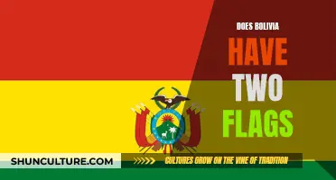 Bolivia's Unique Dual Identity: Two Flags, One Country