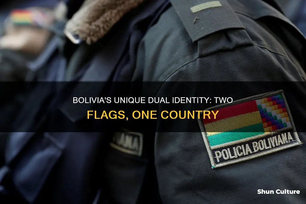 does bolivia have two flags