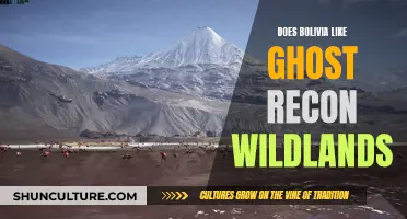 Bolivia Embracing Ghost Recon Wildlands: A Cultural Perspective