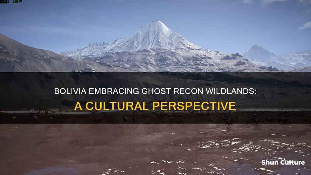 does bolivia like ghost recon wildlands