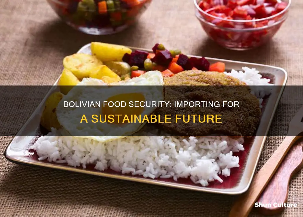 does bolivia need to import food