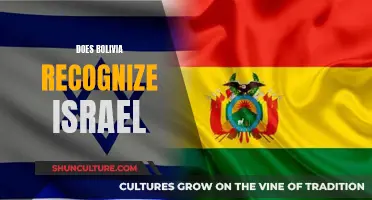 Bolivia-Israel Relations: Recognition and Beyond